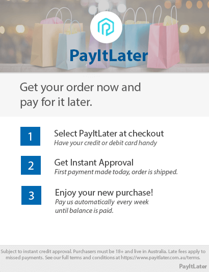 PayItLater Description